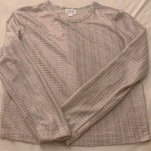Sheer Metallic blouse